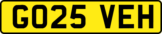 GO25VEH