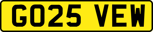 GO25VEW