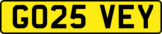 GO25VEY