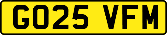 GO25VFM