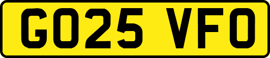 GO25VFO