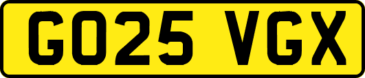GO25VGX