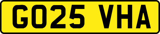 GO25VHA
