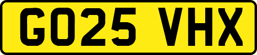 GO25VHX