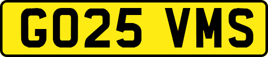 GO25VMS
