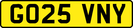 GO25VNY