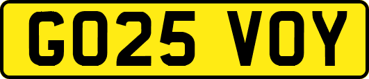 GO25VOY