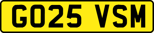 GO25VSM