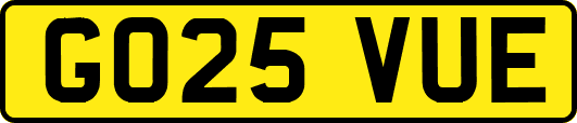 GO25VUE