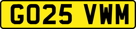 GO25VWM