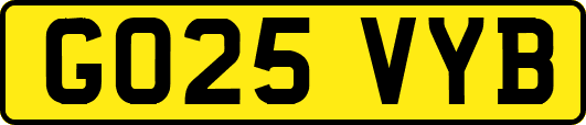 GO25VYB