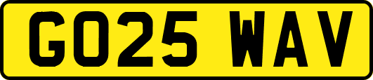 GO25WAV