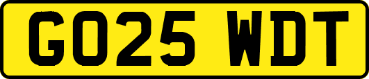 GO25WDT