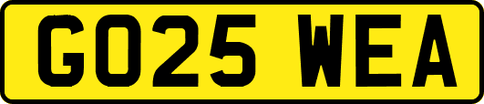 GO25WEA