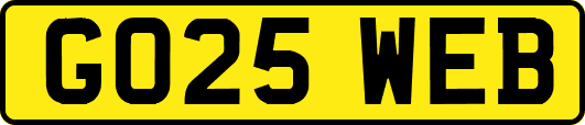 GO25WEB