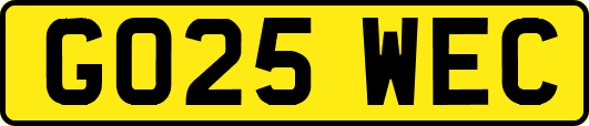 GO25WEC