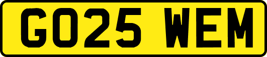 GO25WEM