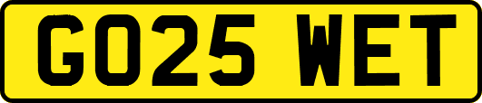 GO25WET