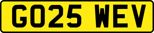 GO25WEV