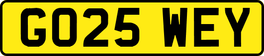 GO25WEY