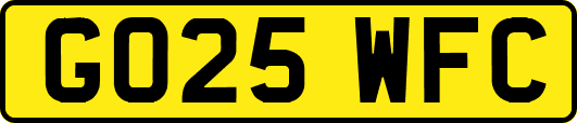 GO25WFC