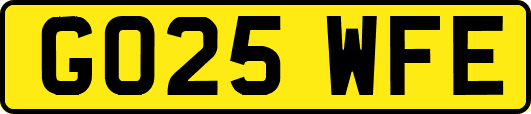 GO25WFE