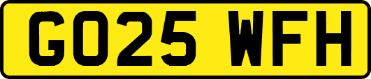 GO25WFH
