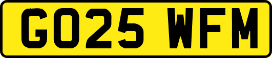 GO25WFM