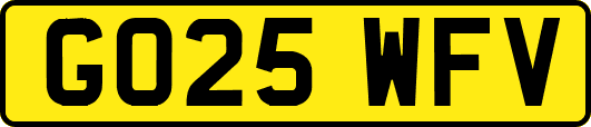 GO25WFV