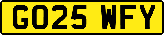 GO25WFY