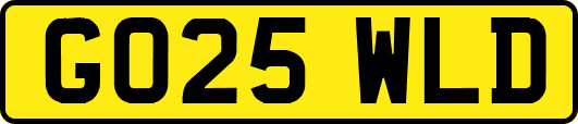 GO25WLD