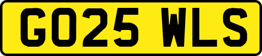 GO25WLS