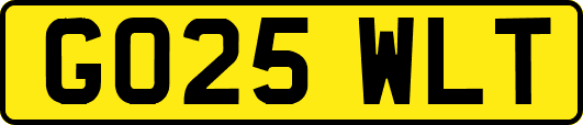 GO25WLT