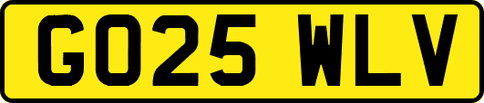 GO25WLV