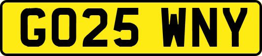 GO25WNY