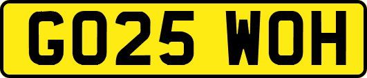 GO25WOH