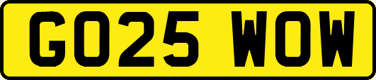GO25WOW