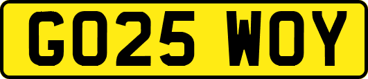 GO25WOY