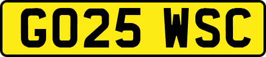 GO25WSC