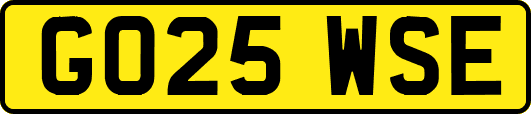 GO25WSE
