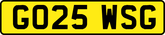 GO25WSG