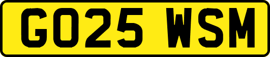 GO25WSM
