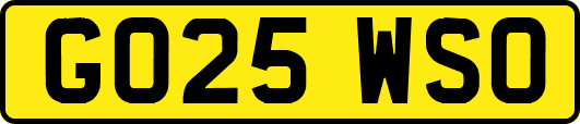 GO25WSO