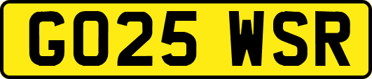 GO25WSR