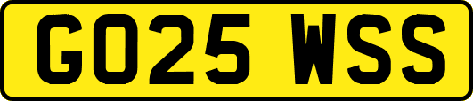 GO25WSS