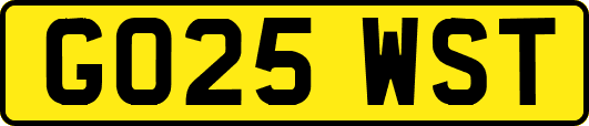 GO25WST