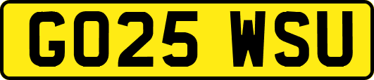 GO25WSU