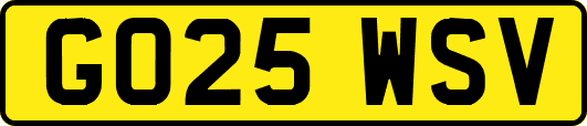GO25WSV