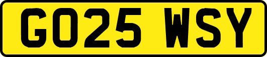 GO25WSY