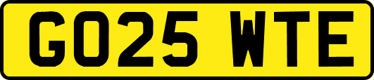 GO25WTE